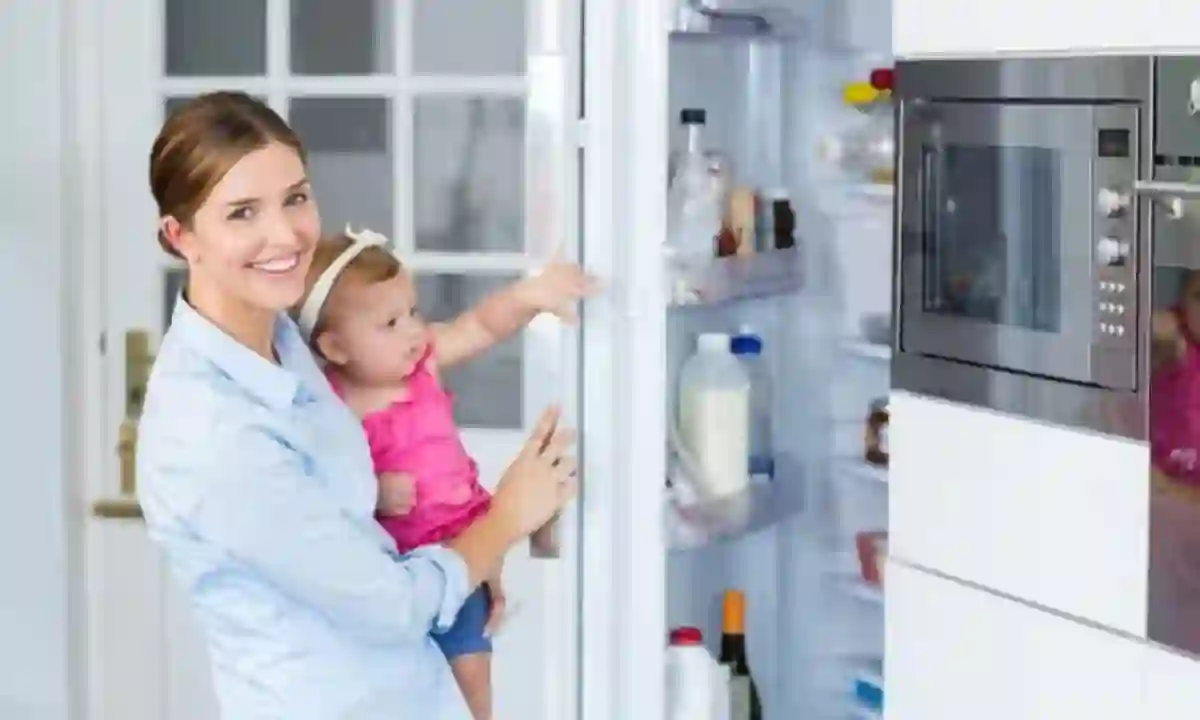 Free government Refrigerator appliances for low income