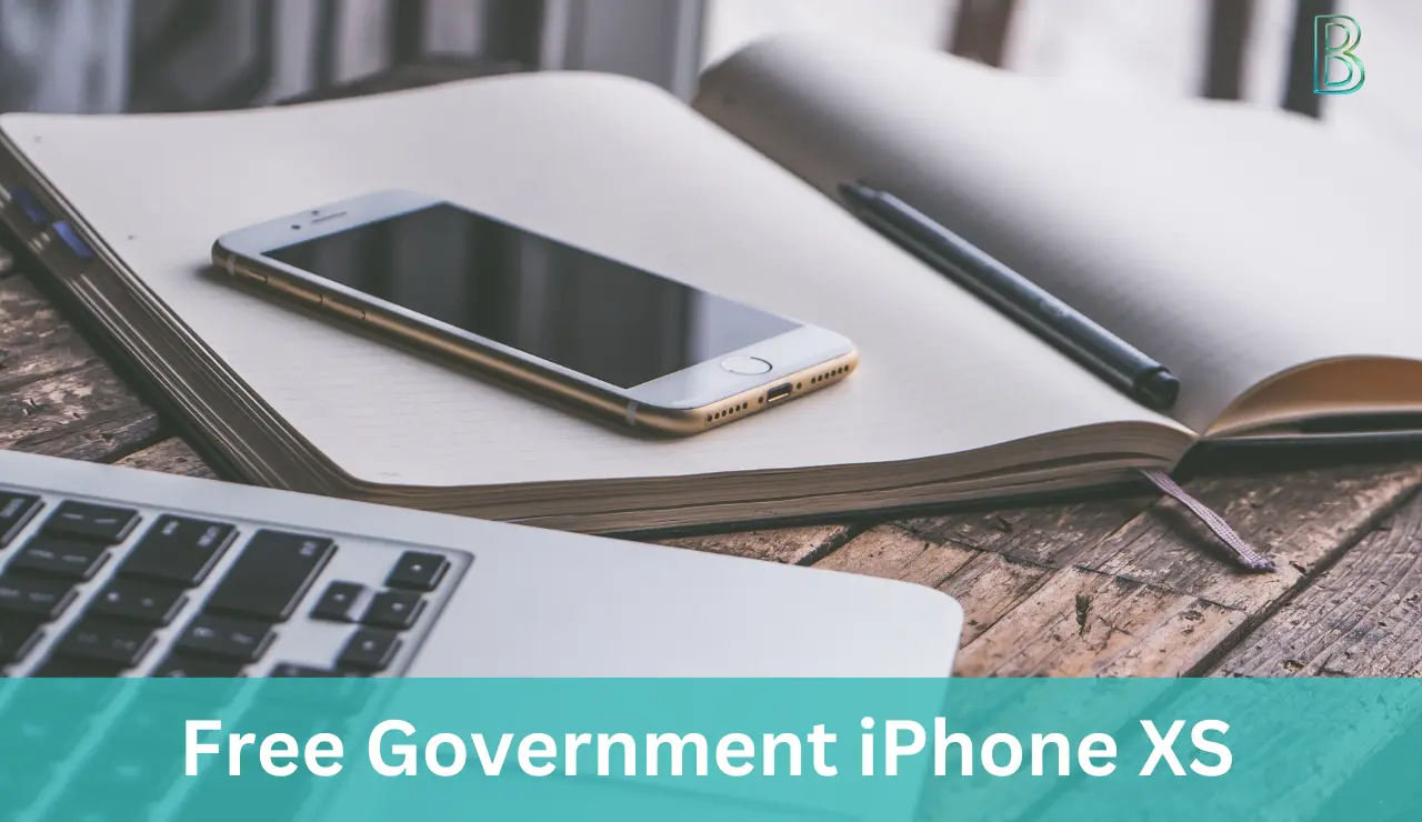 Free Government iPhone XS